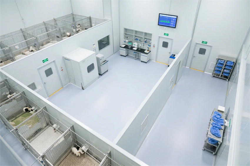4000平合肥動物研究實驗室建設(shè)方案分享
